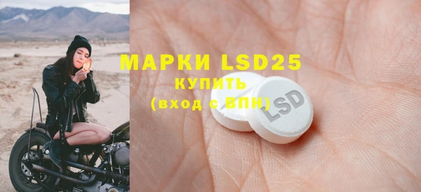 эйфоретик Каменногорск