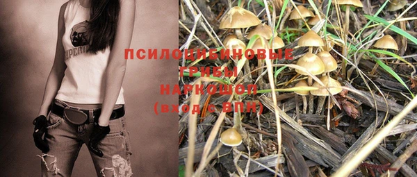 МДПВ Зеленокумск