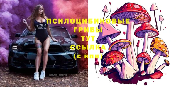 МДПВ Зеленокумск