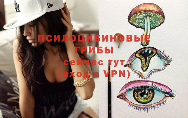 прущий лед Каменск-Шахтинский