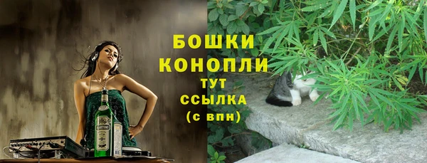 эйфоретик Каменногорск