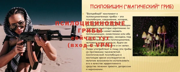 эйфоретик Каменногорск