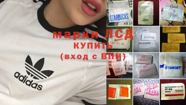 эйфоретик Каменногорск