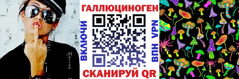 Псилоцибиновые грибы Psilocybine cubensis  Купить закладки  Куровское 