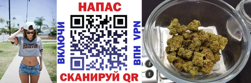 Купить закладки  Куровское  Шишки марихуана SATIVA & INDICA 